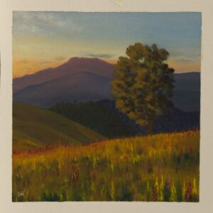 The Last light of the Day